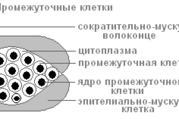 Кракен сайт store